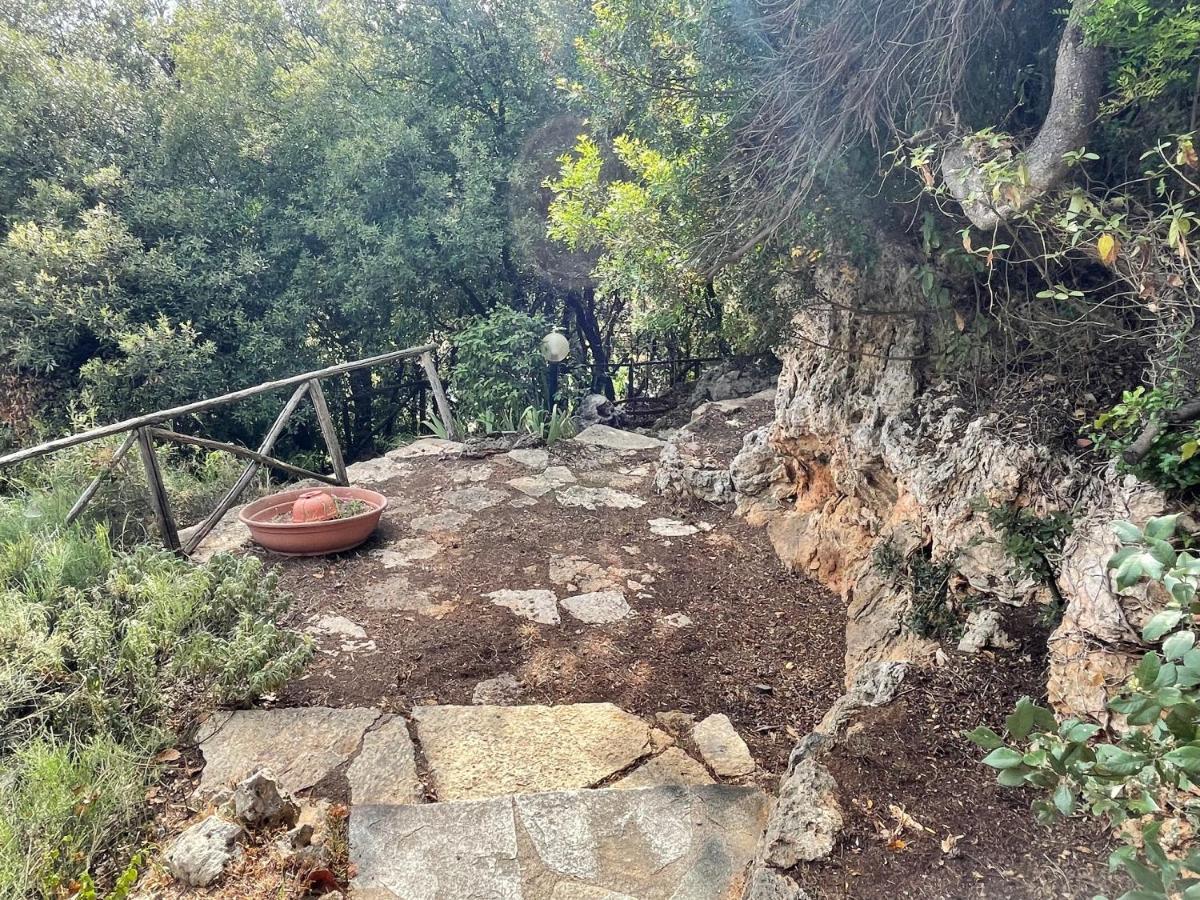 Villa Degli Ulivi マッサ・マリッティマ エクステリア 写真
