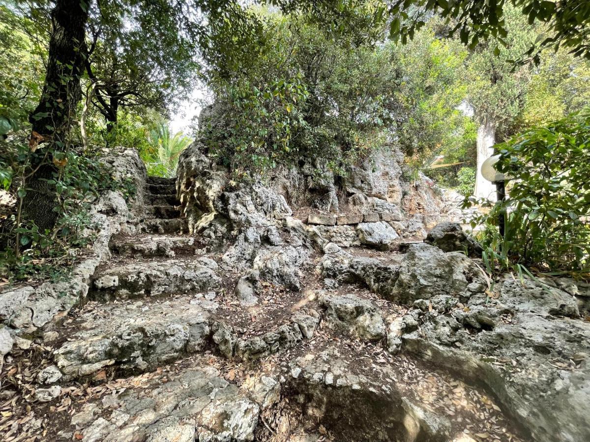 Villa Degli Ulivi マッサ・マリッティマ エクステリア 写真