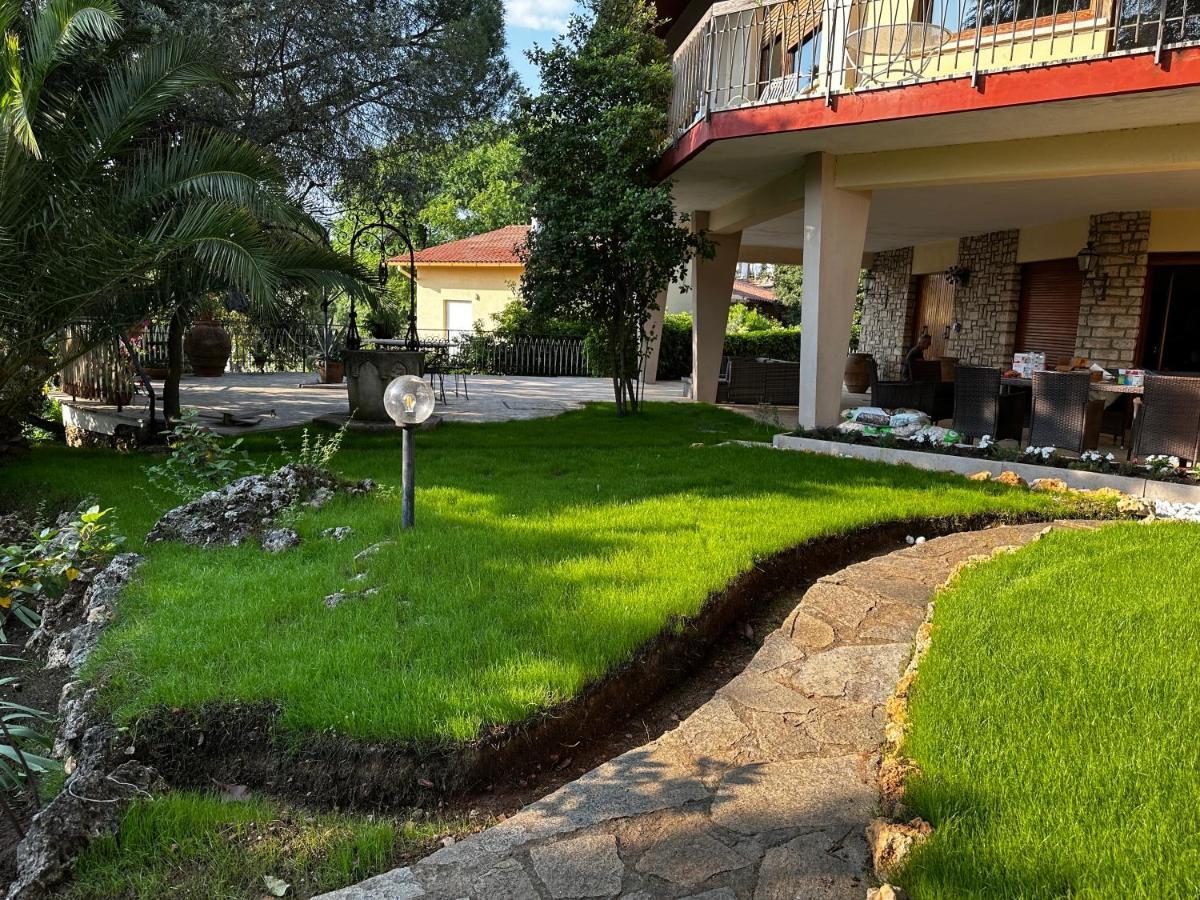 Villa Degli Ulivi マッサ・マリッティマ エクステリア 写真